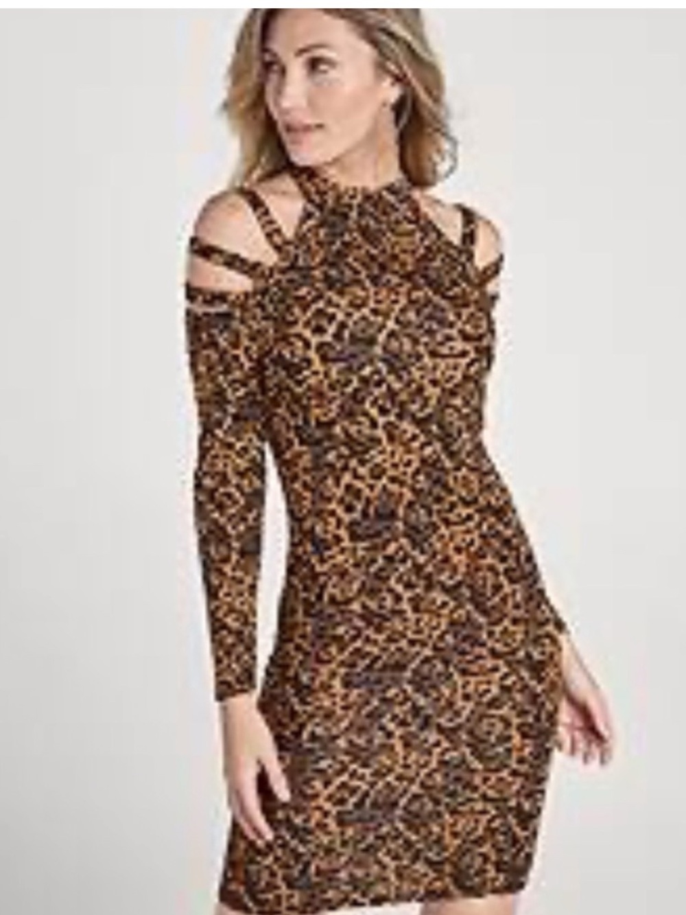 VENUS Leopard-Print Long Sleeve Bodycon Dress - Brown & Black